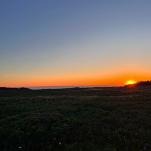 Meet your Posher, Miles